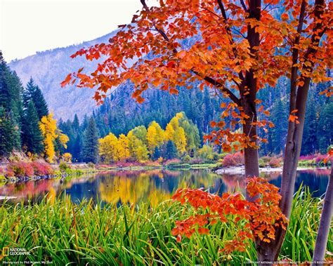 fall foliage desktop backgrounds